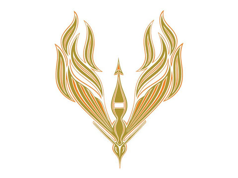 Decal and Stripe Kit, Factory Authorized Reproduction, 1978 AMC Concord AMX (2 Color, 2 Color Choices) - Drop ships in approx. 1-3 weeks