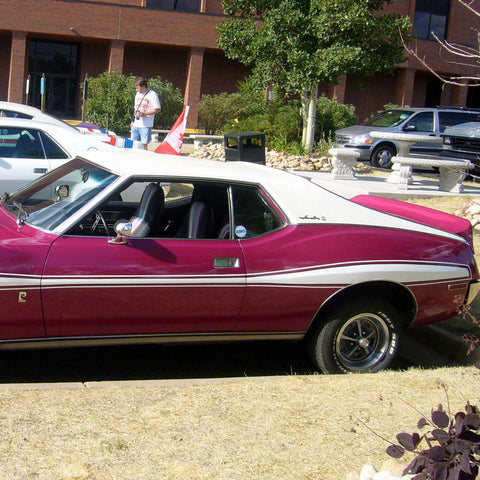 Vinyl Top Kit, Full Top with 32 Clips, 1973-74 AMC Javelin, Javelin AMX (2 Colors) - Drop ships in approx. 1 month