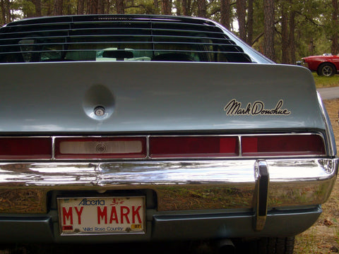 Fiberglass Rear Spoiler, Mark Donohue Style, 1968-70 AMC Javelin