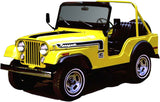 Decal and Stripe Kit, Factory Authorized Reproduction, 1974 AMC Jeep Renegade (1 Color Choice) - Drop ships in approx. 1-3 weeks