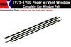 Window Felt/Beltline Weatherstrip Kit, 1975-80 AMC Pacer, With Vent Window - American Performance Products, Co. 