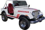 Decal and Stripe Kit, Factory Authorized Reproduction, 1983-84 AMC Jeep Renegade (4 Multi-Colors) - Drop ships in approx. 1-3 weeks