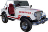 Decal and Stripe Kit, Factory Authorized Reproduction, 1983-84 AMC Jeep Renegade (4 Multi-Colors) - AMC Lives