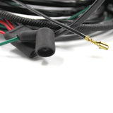 Rear Lamp Wiring Harness, 1970 AMC Rebel (2 Variations) - Drop ships in approx. 1-3 months