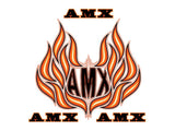 Decal and Stripe Kit, Factory Authorized Reproduction, Hood Decals & Names, 1979-80 AMC Spirit AMX (2 Color, 2 Color Choices) - Drop ships in approx. 1-3 weeks