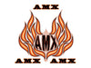 Decal and Stripe Kit, Factory Authorized Reproduction, Hood Decals & Names, 1979-80 AMC Spirit AMX (2 Color, 2 Color Choices) - AMC Lives
